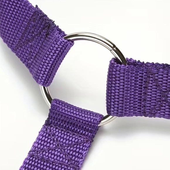 New Dog Safety Strap For Car / Truck / Auto Purple - Picture 7 of 8